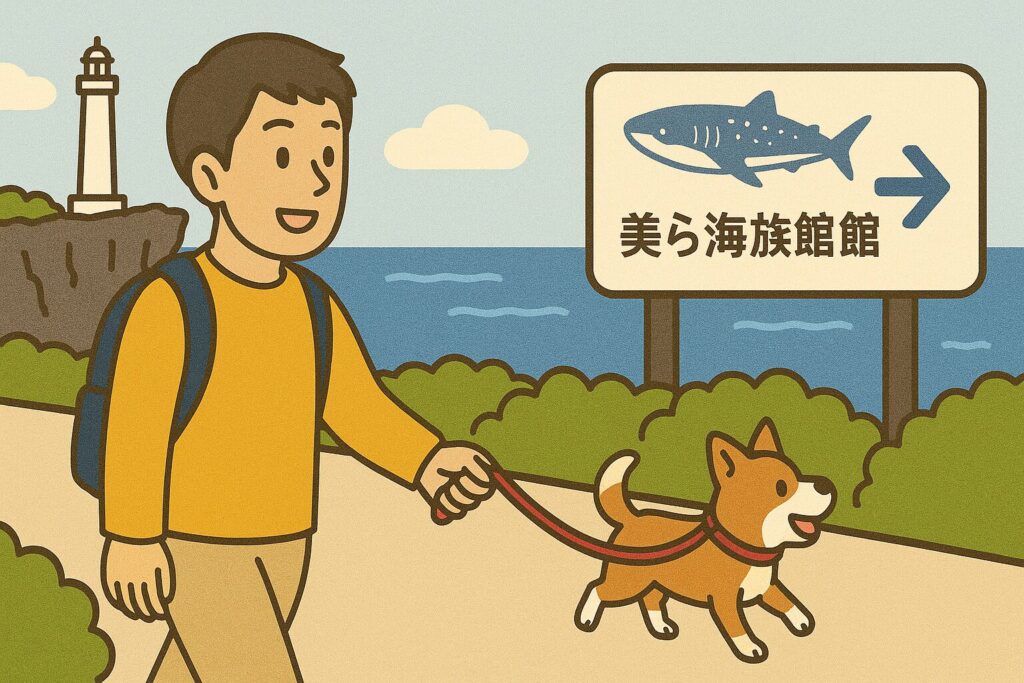 残波岬から美ら海水族館へ向かう様子のイラスト