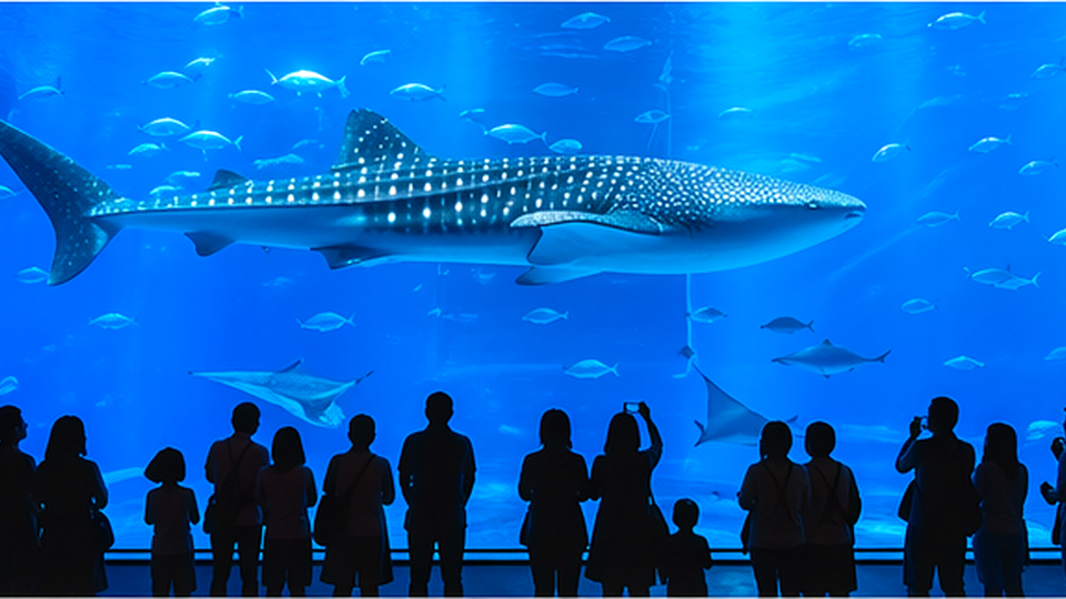 子連れで水族館を楽しむ家族