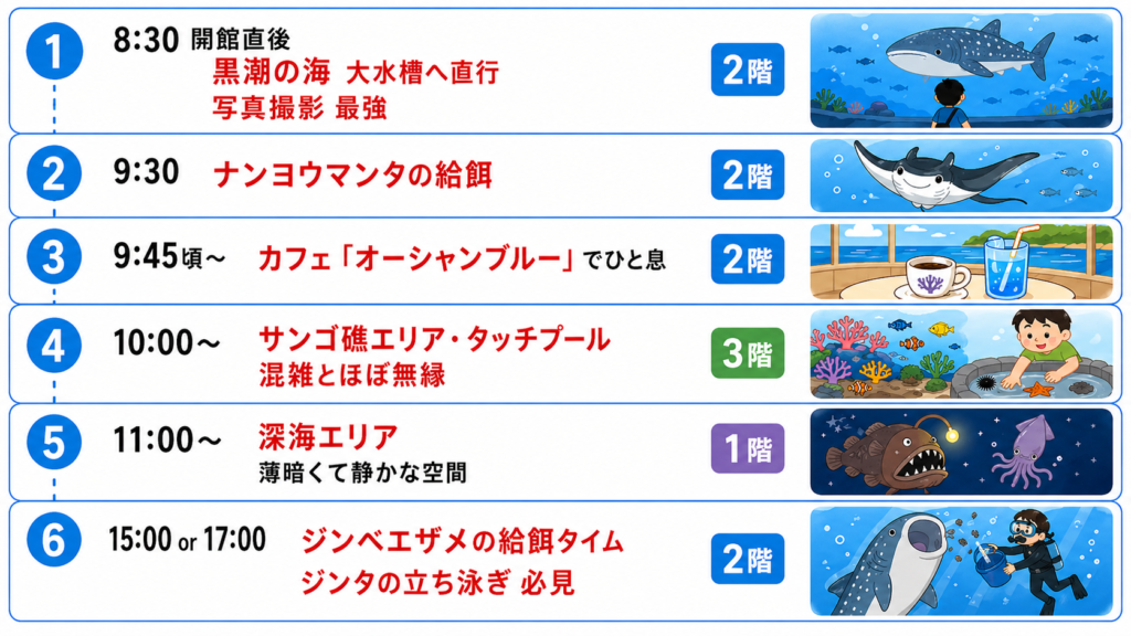 8:30 開館直後	3階サンゴ礁エリアはサラッと流して、2階「黒潮の海」大水槽へ直行。人がほぼいない水槽を独占！写真撮影はこのタイミングが最強	2階
9:30	ナンヨウマンタの給餌を観覧	2階
9:45頃〜	カフェ「オーシャンブルー」でひと息	2階
10:00〜	3階に戻ってサンゴ礁エリア・タッチプールをじっくり見る。この時間帯なら混雑とほぼ無縁	3階
11:00〜	1階の深海エリアをゆっくり回る。薄暗くて静かな空間なので、ラストに持ってくるのがちょうどいい	1階
15:00 or 17:00	もう一度2階に戻って、ジンベエザメの給餌タイムを見る！ジンタの立ち泳ぎは必見	2階